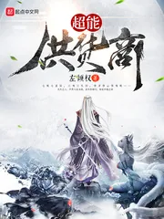 《超能供货商》小说封面