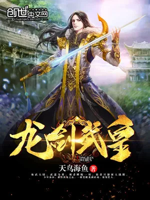《龙剑武皇》小说封面