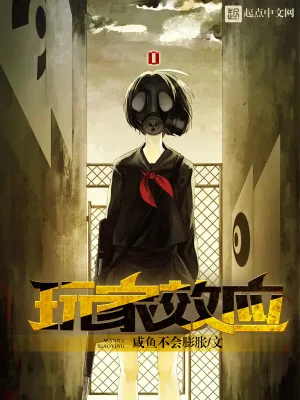 《玩家效应》小说封面