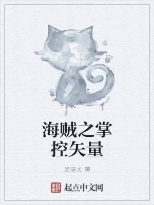 《海贼之掌控矢量》小说封面