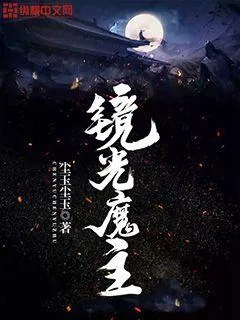 《镜光魔主》小说封面