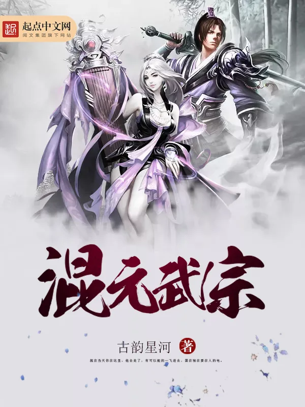 《混元武宗》小说封面