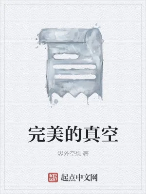 《完美的真空》小说封面