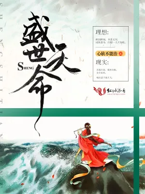 《盛世天命》小说封面