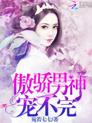 《傲娇男神，宠不完！》小说封面