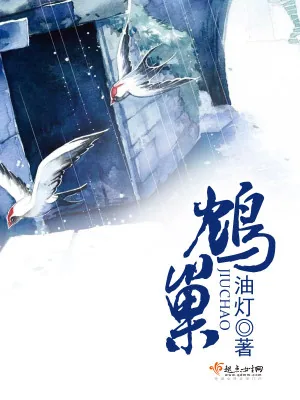 《鸩巢》小说封面