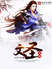 《文圣无双》小说封面