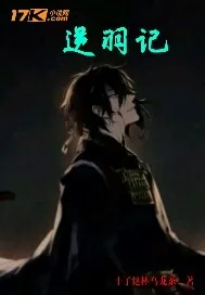 《逆羽记》小说封面
