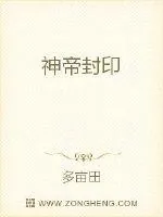 《神帝封印》小说封面