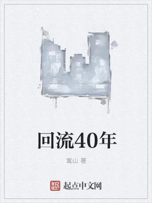 《回流40年》小说封面