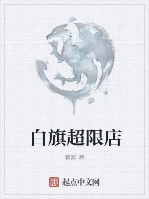 《白旗超限店》小说封面