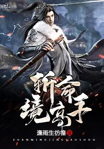 《斩命境高手》小说封面