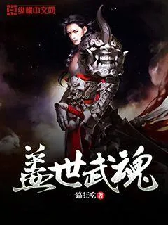 《盖世武魂》小说封面