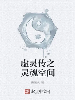 《虚灵传之灵魂空间》小说封面