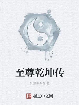 《至尊乾坤传》小说封面
