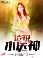 《透视小医神》小说封面