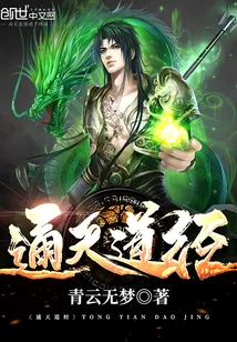 《通天道经》小说封面