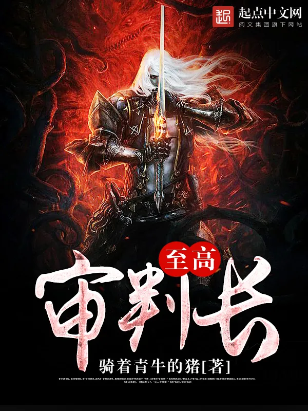 《至高审判长》小说封面