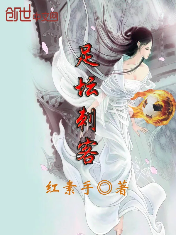 《足坛刺客》小说封面