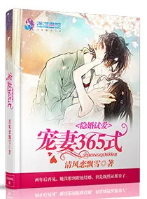《隐婚试爱：宠妻365式》小说封面