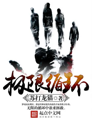 《极限循环》小说封面