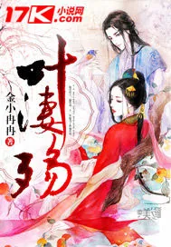 《叶凄殇》小说封面