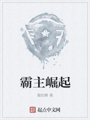 《霸主崛起》小说封面