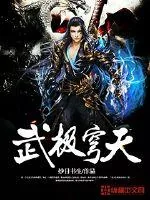 《武极穹天》小说封面