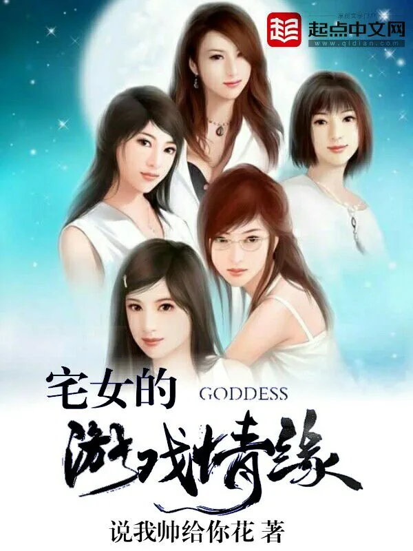 《宅女的游戏情缘》小说封面