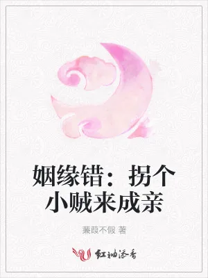 《姻缘错：拐个小贼来成亲》小说封面