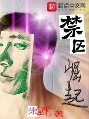 《禁区崛起》小说封面