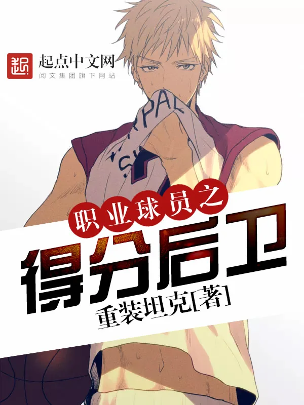 《职业球员之得分后卫》小说封面