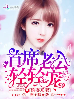 《娇妻来袭：首席老公，轻轻宠》小说封面