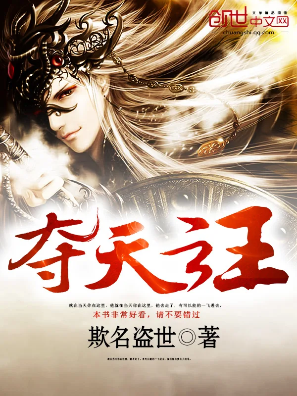 《夺天之主》小说封面