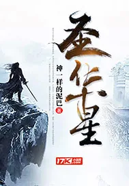 《圣华星》小说封面