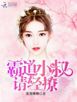 《霸道小叔，请轻撩！》小说封面