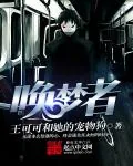 《唤梦者》小说封面
