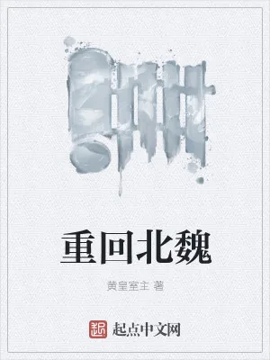 《重回北魏》小说封面