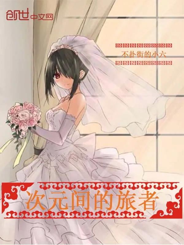 《次元间的旅者》小说封面