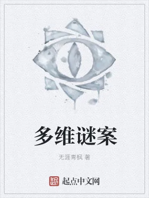 《多维谜案》小说封面