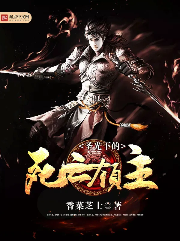 《圣光下的死亡领主》小说封面