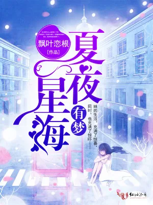 《夏夜星海有梦》小说封面