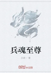 《兵魂至尊》小说封面
