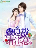 《前妻出没，总裁请注意！》小说封面