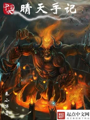 《晴天手记》小说封面