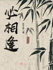 《必相逢》小说封面