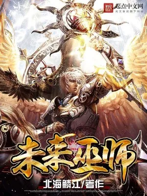 《未来巫师》小说封面