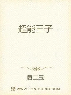 《超能王子》小说封面