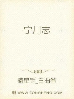 《宁川志》小说封面
