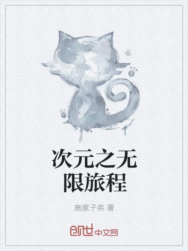 《次元之无限旅程》小说封面